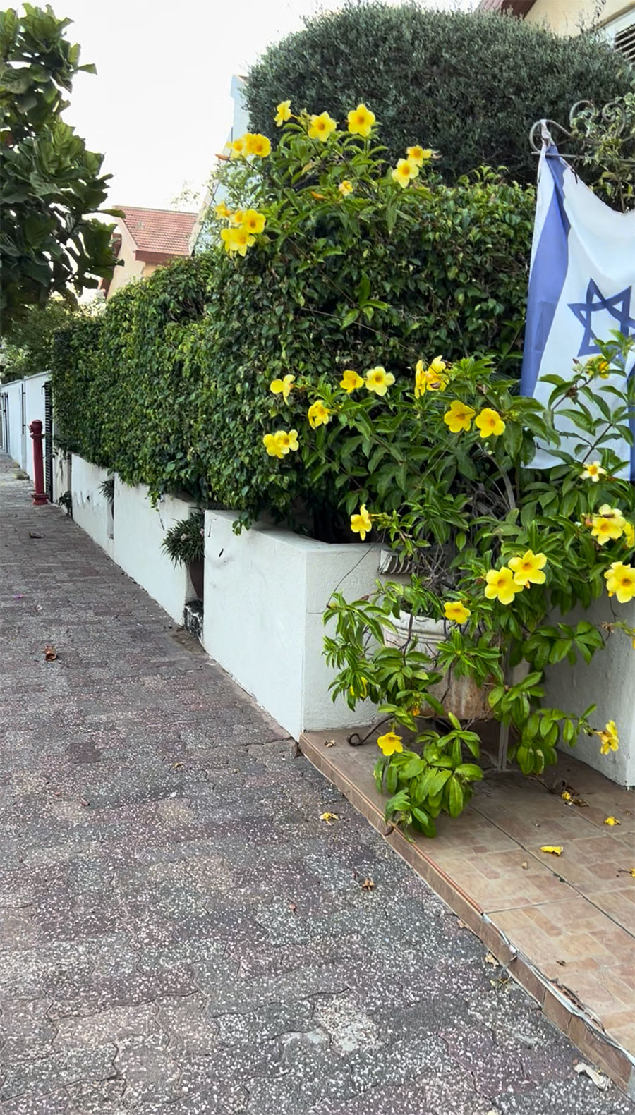 לפני - רמפה נפרדת בכניסה לבית